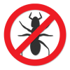 no-termites